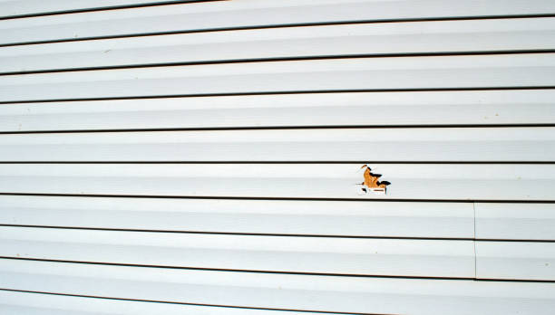 Best Brick Veneer Siding  in Golden Hills, CA